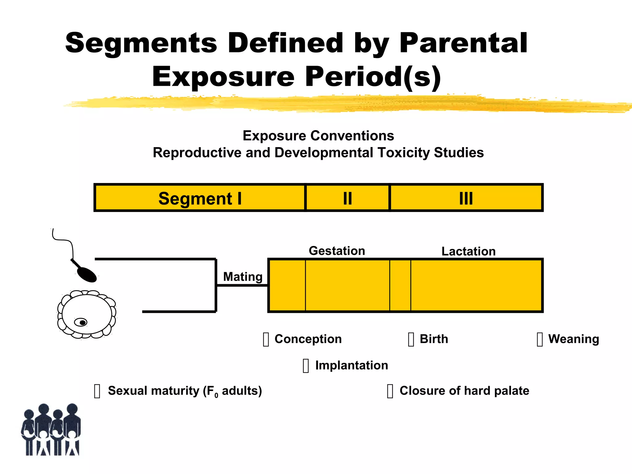 Segments Defined by Parental
Exposure Period(s)
Exposure Conventions
Reproductive and Developmental Toxicity Studies

Segment I

II
Gestation

III
Lactation

Mating



Sexual maturity (F0

 Conception
 Birth
 Weaning
 Implantation
adults)
 Closure of hard palate

 