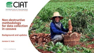 Non-destructive
methodology
for data collection
in cassava
Background and updates
Jonatan S. Soto
E-mail: j.s.soto@cigar.org
 