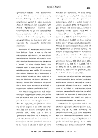 Sandip S. Magdum
Agrobacterium-mediated plant transformation
requires efficient procedures for suppressing
bacteria following co-cultivation and a
comprehensive approach to reduce suppressing
effects of antibiotics on plant propagation. Highly
efficient Agrobacterium mediated plant
transformation has not yet been well-established;
however, applications of in vitro culturing,
antibiotic and chemical washing biochemically
damage plant tissue and these stress factors were
responsible for unsuccessful transformation
experiments.
Ammi majus (L.), also known as bishop’s weed
from Apiaceae family is one of the wild
pharmacopoeial plant species. The seed contains
furanocoumarins (Hamerski and Matern, 1998),
which stimulate pigment production in the skin that
is exposed to bright sunlight (Bown, 1995;
Chevallier, 1996). In recent study, leaf, stem and
calli of Ammi majus were used for efficient genomic
DNA isolation (Magdum, 2013). Modification of
plant metabolic pathway for higher production of
medically important secondary metabolite or
byproduct requires basic changes in the genomic
DNA of Ammi majus, which could be achieved by
Agrobacterium mediated transformation (AMT).
Pearl millet is widely grown as a multi-purpose
cereal grain crop principally for food, feed, fodder,
fuel, and much on more than 26 million hectares,
primarily in arid and semi-arid regions of India and
Africa. It is a high yielding, drought tolerant summer
crop and can be grown in low rainfall areas where
other crops such as maize and sorghum are not
profitable (FAO, 2004). Due to lack of
Agrobacterium attachment site in monocots, like
pearl millet, the absence of wound response and
the associated activation of virulence genes would
be the reasons of absence of crown gall tumor
formation and recalcitrance. But there actively
dividing, embryogenic cells, which are co-cultivated
with Agrobacterium in the presence of
acetosyringone, which is a potent inducer of
virulence genes (Vasil, 2005) and the possibility of
gene transfer exists in monocots. A number of
researchers reported recently about AMT in
monocots (Assem et al., 2009; Ceasar and
Ignacimuthu, 2011; Jha et al., 2011; Karthikeyan et
al., 2011; Duan et al., 2012) but it was observed
that no recovery of regenerates has been possible.
Although the communication between plant cell
and Agrobacterium via chemical signaling and
transport is not yet fully understood, many studies
of Agrobacterium-mediated transformation have
reported necrosis and a poor survival rate of target
plant tissues (Hansen, 2000; Olhoft et al., 2001;
Chakrabarty et al., 2002; Das et al., 2002; Toldi et
al., 2002; Dan et al., 2004; Zheng et al., 2005;
Assem et al., 2009; Ceasar and Ignacimuthu, 2011;
Jha et al., 2011; Karthikeyan et al., 2011).
Hansen and Durham, (2000) have also reported
that co-cultivation of wheat and maize tissues with
Agrobacterium resulted in necrosis (Fig.1) due to
programmed cell death, Some factors may be the
result of, or linked to, hypersensitive defense
reaction in plants to Agrobacterium infection, which
may involve the recognition of specific signal from
the Agrobacterium that triggers the burst of
reactive oxygen species at the infection site.
Antibiotics in the regeneration medium also
affects on regeneration efficiency (Nauerby et al.,
1997; Ling et al., 1998; Ieamkhang and
Chatchawankanphanich, 2005). Some researchers
have used timentin to inhibit systemic bacteria in
tissue culture and to suppress Agrobacterium in
genetic transformation (Cheng et al., 1998;
Ieamkhang and Chatchawankanphanich, 2005).
JOURNAL OF STRESS PHYSIOLOGY & BIOCHEMISTRY Vol. 9 No. 3 2013
100
 