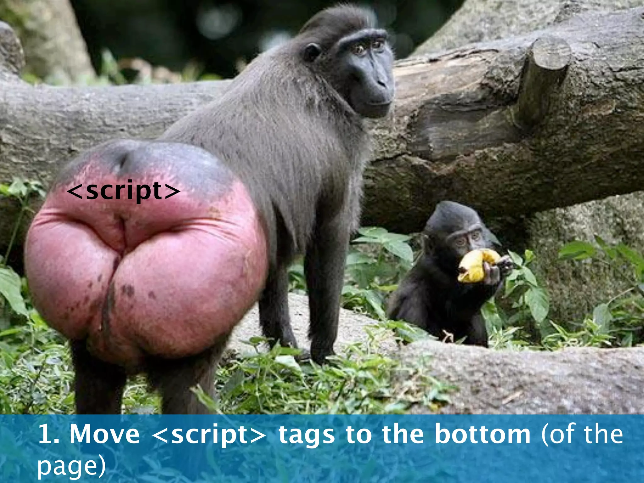 <script>




1. Move <script> tags to the bottom (of the
page)
 