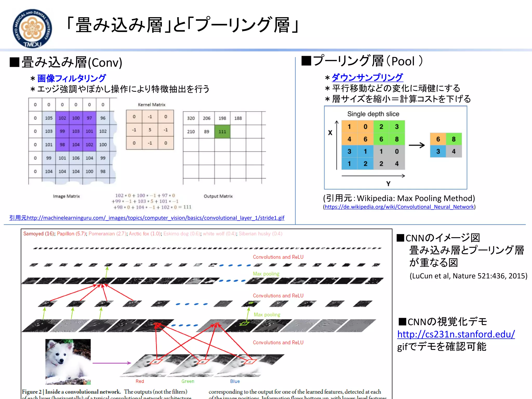 ■CNNのイメージ図
畳み込み層とプーリング層
が重なる図
「畳み込み層」と「プーリング層」
■プーリング層（Pool ）■畳み込み層(Conv)
＊ダウンサンプリング
＊平行移動などの変化に頑健にする
＊層サイズを縮小＝計算コストを下げる
(引用元：Wikipedia: Max Pooling Method)
(https://de.wikipedia.org/wiki/Convolutional_Neural_Network)
引用元http://machinelearninguru.com/_images/topics/computer_vision/basics/convolutional_layer_1/stride1.gif
＊画像フィルタリング
＊エッジ強調やぼかし操作により特徴抽出を行う
(LuCun et al, Nature 521:436, 2015)
■CNNの視覚化デモ
http://cs231n.stanford.edu/
gifでデモを確認可能
 
