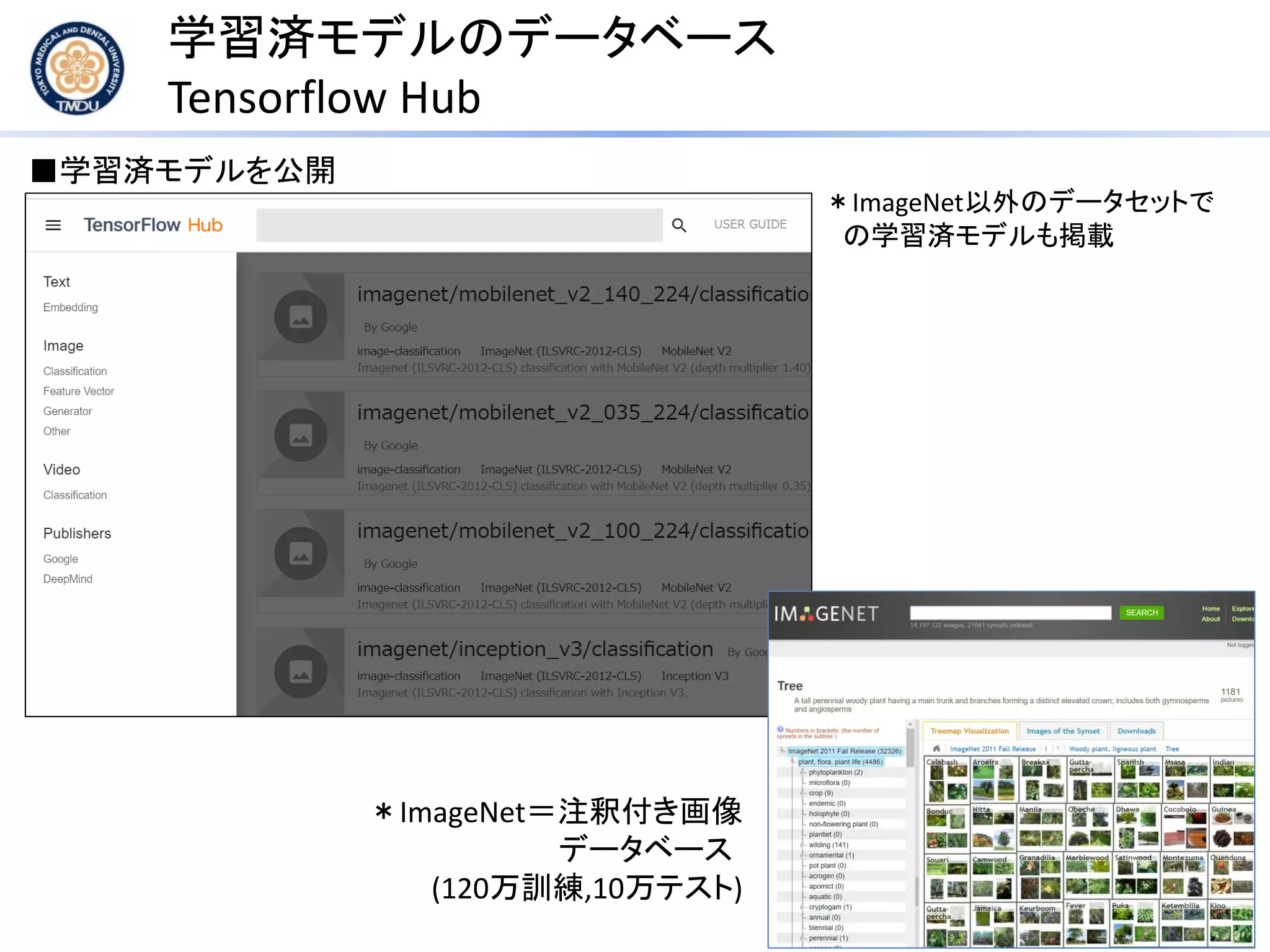 学習済モデルのデータベース
Tensorflow Hub
＊ImageNet以外のデータセットで
の学習済モデルも掲載
＊ImageNet＝注釈付き画像
データベース
(120万訓練,10万テスト)
■学習済モデルを公開
 