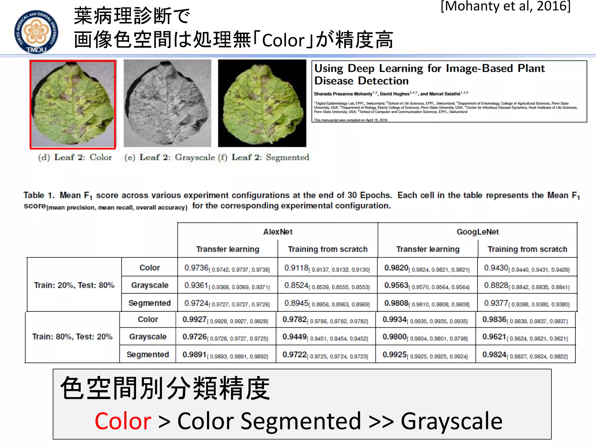 葉病理診断で
画像色空間は処理無「Color」が精度高
色空間別分類精度
Color > Color Segmented >> Grayscale
[Mohanty et al, 2016]
 