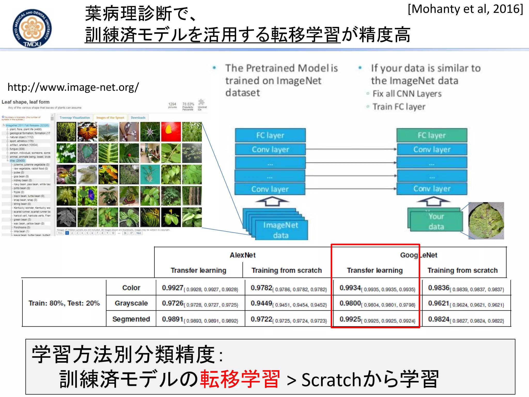 葉病理診断で、
訓練済モデルを活用する転移学習が精度高
学習方法別分類精度：
訓練済モデルの転移学習 > Scratchから学習
[Mohanty et al, 2016]
http://www.image-net.org/
 