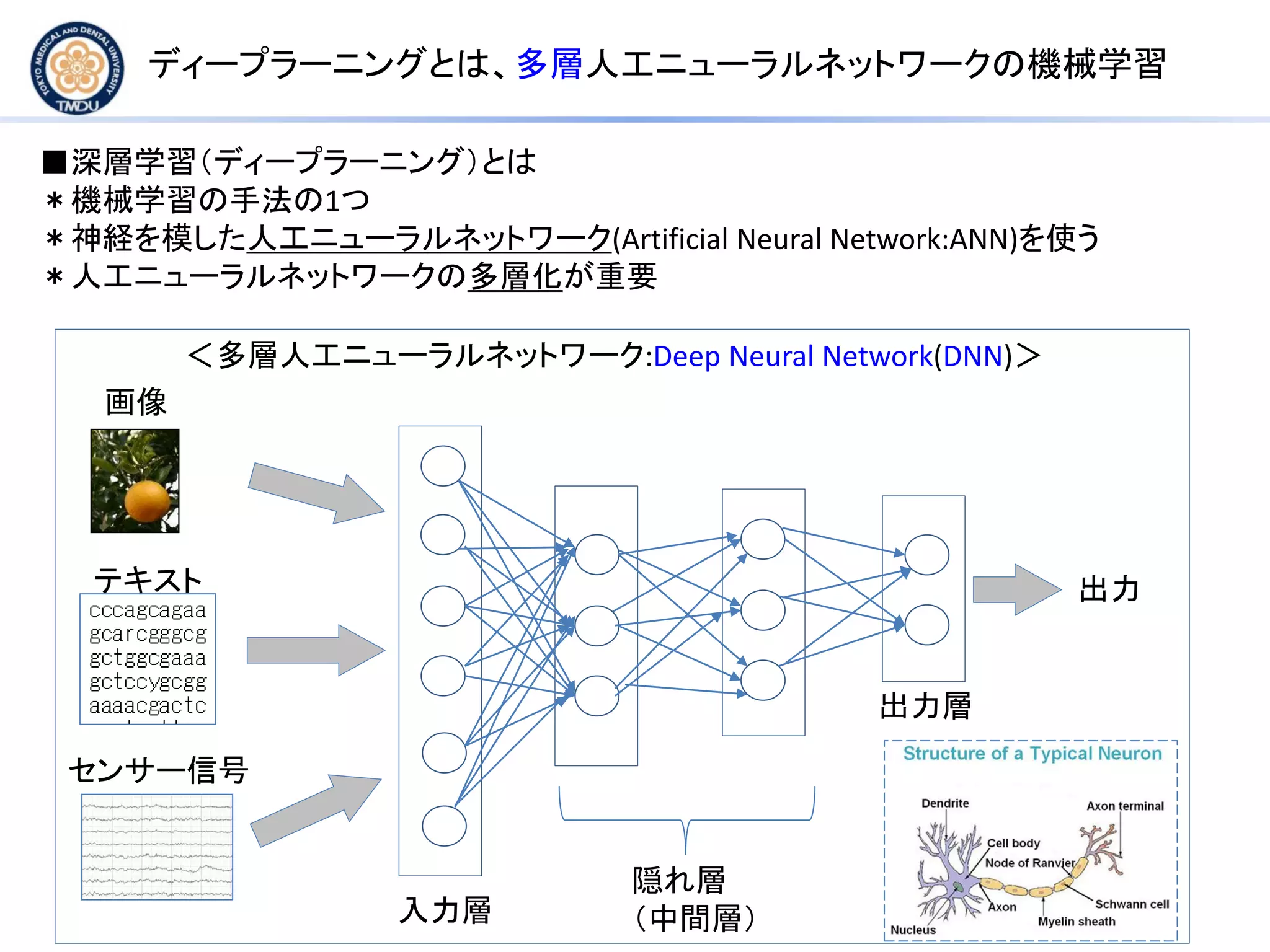 ディープラーニングとは、多層人工ニューラルネットワークの機械学習
■深層学習（ディープラーニング）とは
＊機械学習の手法の1つ
＊神経を模した人工ニューラルネットワーク(Artificial Neural Network:ANN)を使う
＊人工ニューラルネットワークの多層化が重要
＜多層人工ニューラルネットワーク:Deep Neural Network(DNN)＞
画像
テキスト
センサー信号
隠れ層
（中間層）入力層
出力層
出力
 