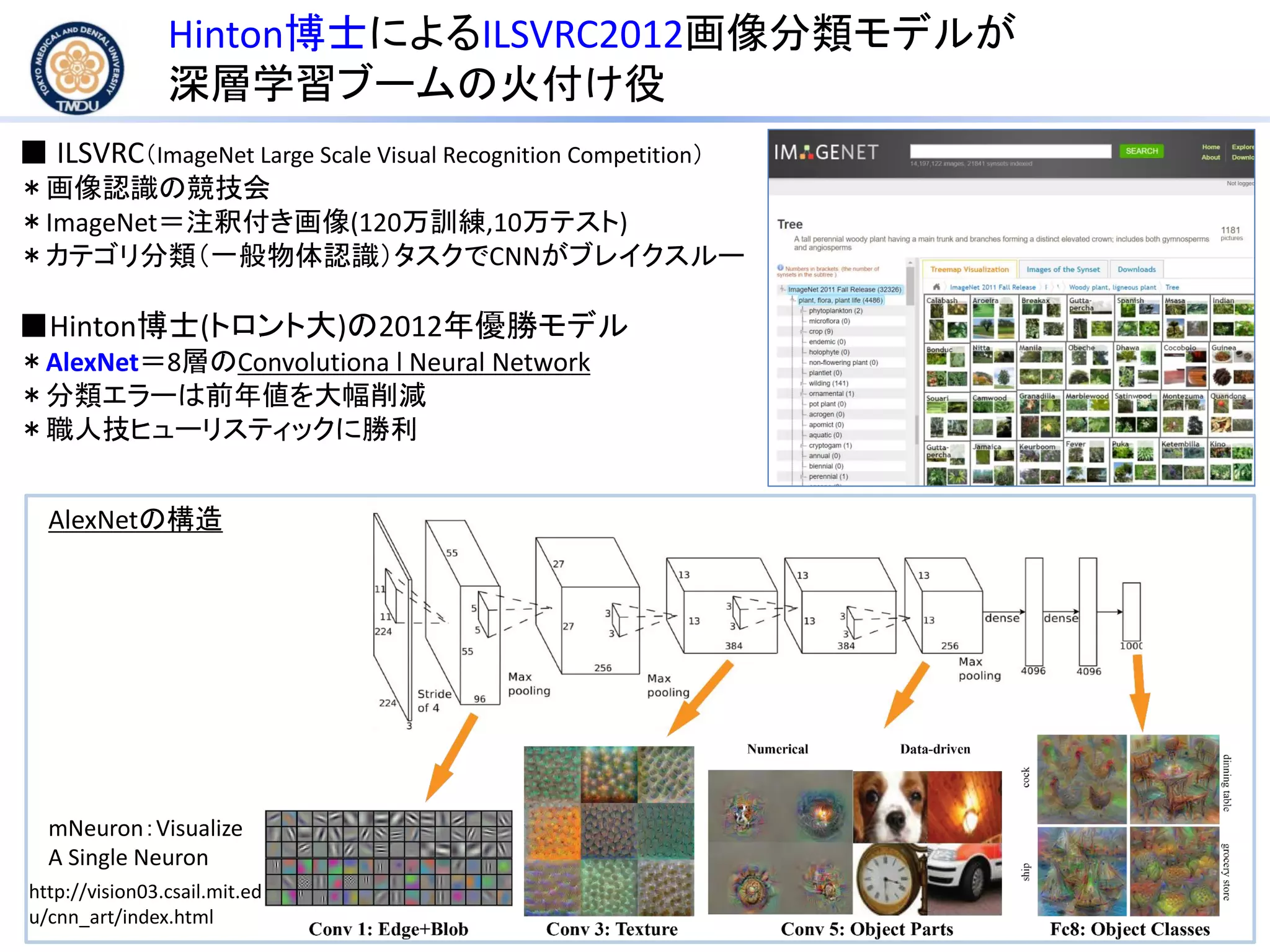 Hinton博士によるILSVRC2012画像分類モデルが
深層学習ブームの火付け役
■ ILSVRC（ImageNet Large Scale Visual Recognition Competition）
＊画像認識の競技会
＊ImageNet＝注釈付き画像(120万訓練,10万テスト)
＊カテゴリ分類（一般物体認識）タスクでCNNがブレイクスルー
■Hinton博士(トロント大)の2012年優勝モデル
＊AlexNet＝8層のConvolutiona l Neural Network
＊分類エラーは前年値を大幅削減
＊職人技ヒューリスティックに勝利
AlexNetの構造
mNeuron：Visualize
A Single Neuron
http://vision03.csail.mit.ed
u/cnn_art/index.html
 