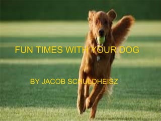 FUN TIMES WITH YOUR DOG
BY JACOB SCHULDHEISZ
 