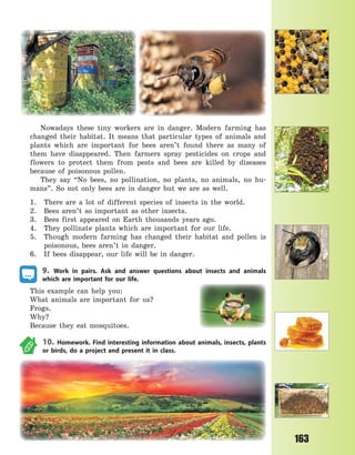 163
Nowadays these tiny workers are in danger. Modern farming has
changed their habitat. It means that particular types of animals and
plants which are important for bees aren’t found there as many of
them have disappeared. Then farmers spray pesticides on crops and
flowers to protect them from pests and bees are killed by diseases
because of poisonous pollen.
They say “No bees, no pollination, no plants, no animals, no hu-
mans”. So not only bees are in danger but we are as well.
1. There are a lot of different species of insects in the world.
2. Bees aren’t so important as other insects.
3. Bees first appeared on Earth thousands years ago.
4. They pollinate plants which are important for our life.
5. Though modern farming has changed their habitat and pollen is
poisonous, bees aren’t in danger.
6. If bees disappear, our life will be in danger.
9. Work in pairs. Ask and answer questions about insects and animals
which are important for our life.
This example can help you:
What animals are important for us?
Frogs.
Why?
Because they eat mosquitoes.
10. Homework. Find interesting information about animals, insects, plants
or birds, do a project and present it in class.
Право для безоплатного розміщення підручника в мережі Інтернет має
Міністерство освіти і науки України http://mon.gov.ua/ та Інститут модернізації змісту освіти https://imzo.gov.ua
 