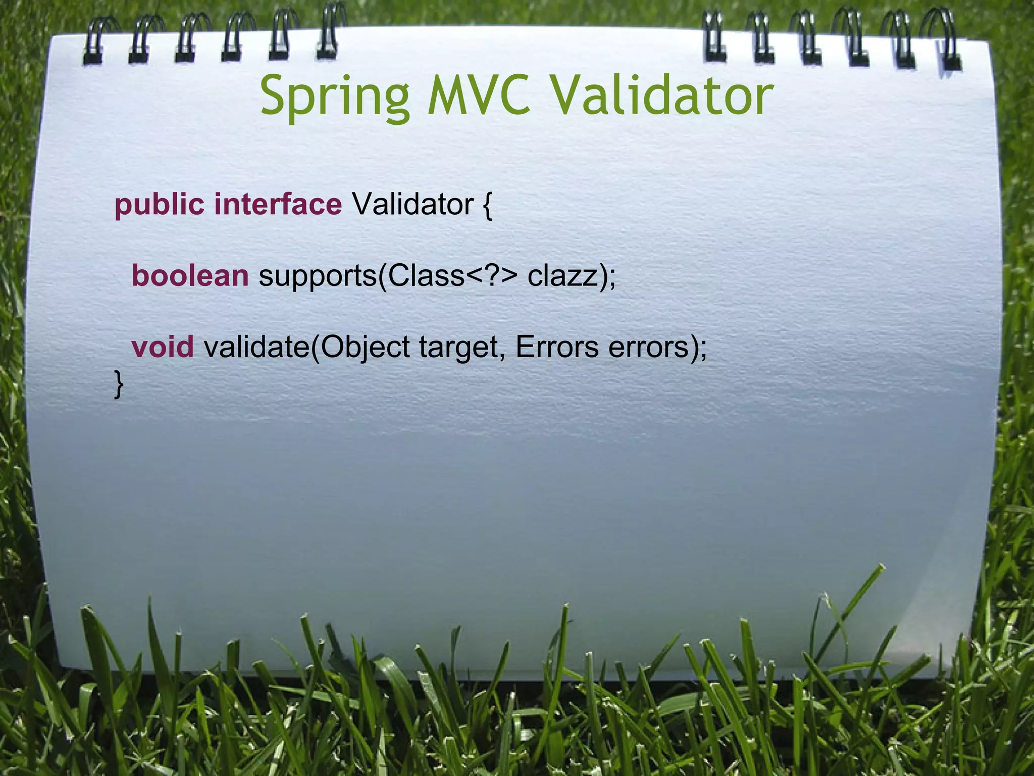 Spring MVC Validator
public interface Validator {

    boolean supports(Class<?> clazz);

    void validate(Object target, Errors errors);
}
 