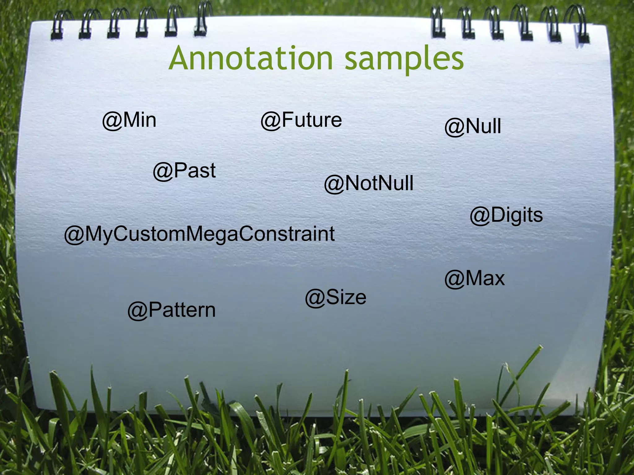 Annotation samples
   @Min         @Future          @Null

       @Past
                      @NotNull
                                   @Digits
@MyCustomMegaConstraint

                                 @Max
                    @Size
     @Pattern
 