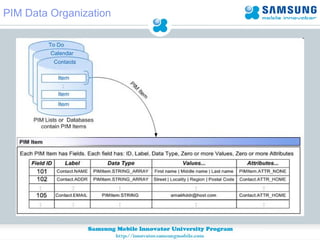 PIM Data Organization 