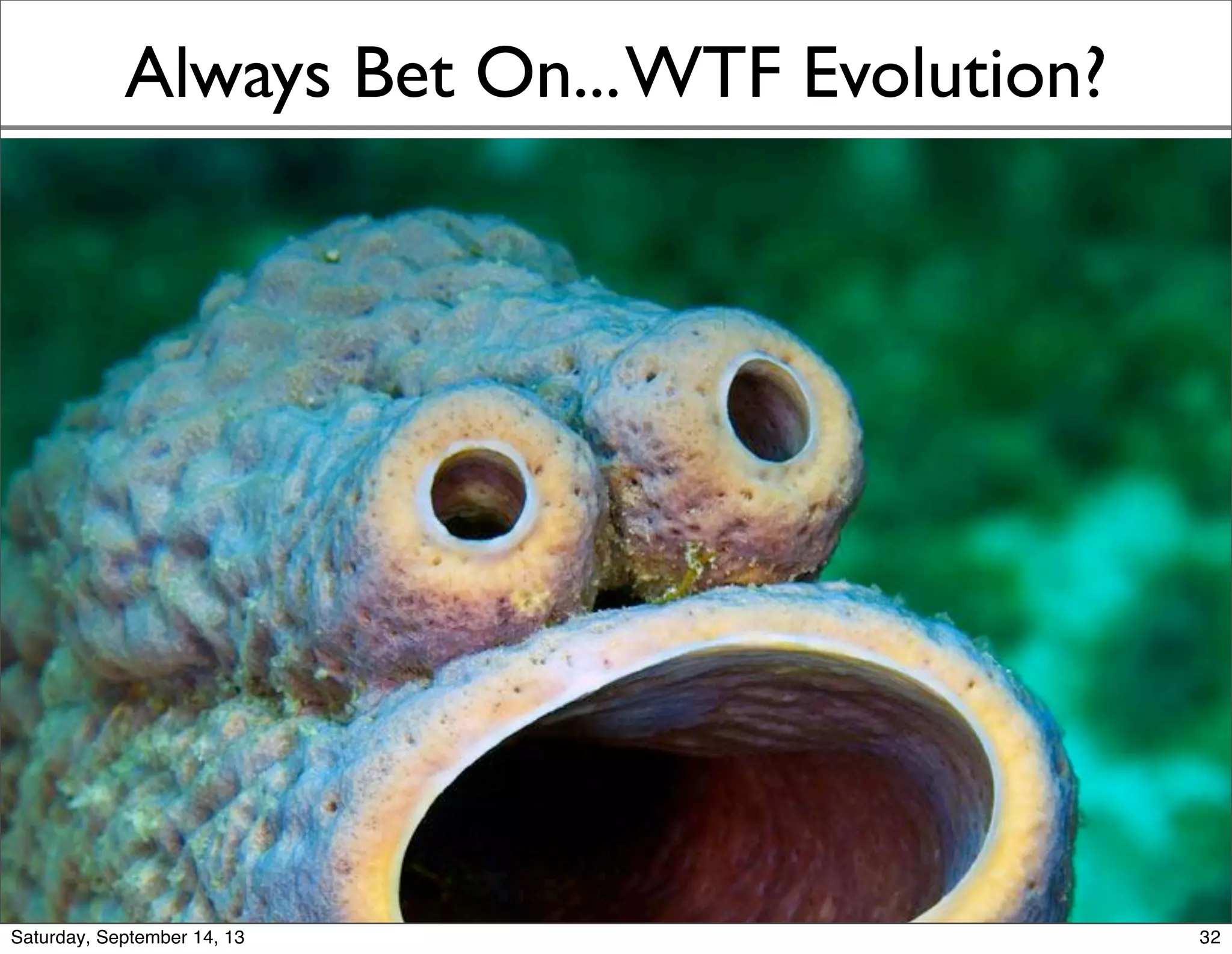 Always Bet On...WTF Evolution?
32
 