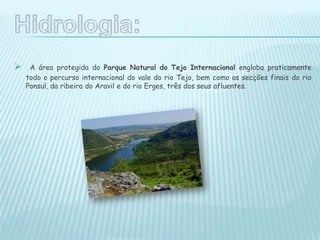  A área protegida do Parque Natural do Tejo Internacional engloba praticamente
todo o percurso internacional do vale do rio Tejo, bem como as secções finais do rio
Ponsul, da ribeira do Aravil e do rio Erges, três dos seus afluentes.
 
