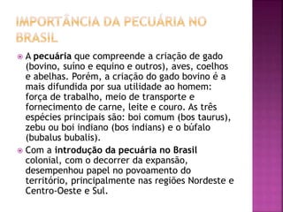  A pecuária que compreende a criação de gado 
(bovino, suíno e equino e outros), aves, coelhos 
e abelhas. Porém, a criação do gado bovino é a 
mais difundida por sua utilidade ao homem: 
força de trabalho, meio de transporte e 
fornecimento de carne, leite e couro. As três 
espécies principais são: boi comum (bos taurus), 
zebu ou boi indiano (bos indians) e o búfalo 
(bubalus bubalis). 
 Com a introdução da pecuária no Brasil 
colonial, com o decorrer da expansão, 
desempenhou papel no povoamento do 
território, principalmente nas regiões Nordeste e 
Centro-Oeste e Sul. 
 