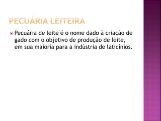  Pecuária de leite é o nome dado à criação de 
gado com o objetivo de produção de leite, 
em sua maioria para a indústria de laticínios. 
 