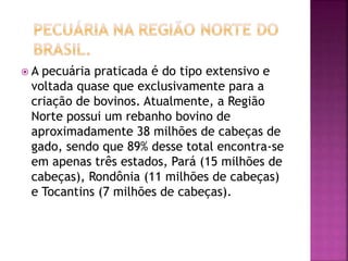  A pecuária praticada é do tipo extensivo e 
voltada quase que exclusivamente para a 
criação de bovinos. Atualmente, a Região 
Norte possui um rebanho bovino de 
aproximadamente 38 milhões de cabeças de 
gado, sendo que 89% desse total encontra-se 
em apenas três estados, Pará (15 milhões de 
cabeças), Rondônia (11 milhões de cabeças) 
e Tocantins (7 milhões de cabeças). 
 