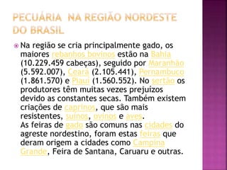  Na região se cria principalmente gado, os 
maiores rebanhos bovinos estão na Bahia 
(10.229.459 cabeças), seguido por Maranhão 
(5.592.007), Ceará (2.105.441), Pernambuco 
(1.861.570) e Piauí (1.560.552). No sertão os 
produtores têm muitas vezes prejuízos 
devido as constantes secas. Também existem 
criações de caprinos, que são mais 
resistentes, suínos, ovinos e aves. 
As feiras de gado são comuns nas cidades do 
agreste nordestino, foram estas feiras que 
deram origem a cidades como Campina 
Grande, Feira de Santana, Caruaru e outras. 
 
