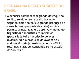  A pecuária também tem grande destaque na 
região, sendo o seu rebanho bovino o 
segundo maior do país. A grande produção de 
carne bovina (pecuária de corte) e suína 
permite a instalação e o desenvolvimento de 
frigoríficos e indústrias de laticínios 
(pecuária leiteira). A criação de aves 
(avicultura) e a produção de ovos são as 
maiores do país (aproximadamente 40% do 
total nacional), concentrando-se no estado 
de São Paulo. 
 