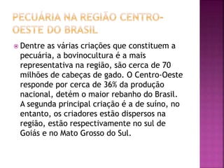  Dentre as várias criações que constituem a 
pecuária, a bovinocultura é a mais 
representativa na região, são cerca de 70 
milhões de cabeças de gado. O Centro-Oeste 
responde por cerca de 36% da produção 
nacional, detém o maior rebanho do Brasil. 
A segunda principal criação é a de suíno, no 
entanto, os criadores estão dispersos na 
região, estão respectivamente no sul de 
Goiás e no Mato Grosso do Sul. 
 