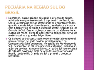  No Paraná, possui grande destaque a criação de suínos, 
atividade em que esse estado é o primeiro do Brasil, em 
Santa Catarina na região Oeste onde se encontra grandes 
quantidades de frigoríficos de suíno, se destaca a Aurora 
com 8 frigorífico de suíno 5 estão no Oeste, seguido do Rio 
Grande do Sul. Essa criação processa-se paralelamente ao 
cultivo do milho, além de abastecer a população, serve de 
matéria-prima a grandes frigoríficos. 
 Os campos do Sul constituem excelente pastagem natural 
para a criação de gado bovino, principalmente na 
Campanha Gaúcha ou pampa, no estado do Rio Grande do 
Sul. Desenvolve-se ali uma pecuária extensiva, criando-se, 
além de bovinos, também ovinos. A região Sul reúne cerca 
de 18% dos bovinos e mais de 60% dos ovinos criados no 
Brasil, sendo o Rio Grande do Sul o primeiro produtor 
brasileiro. 
 
