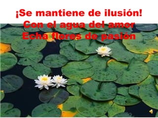 ¡Se mantiene de ilusión!  Con el agua del amor  Echa flores de pasión  