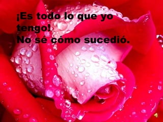 ¡Es todo lo que yo tengo!  No sé cómo sucedió. 