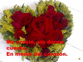 Me creció, sin darme cuenta,  En medio del corazón. 