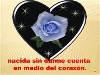 nacida sin darme cuenta  en medio del corazón. 