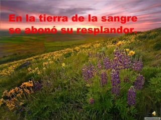En la tierra de la sangre  se abonó su resplandor. 