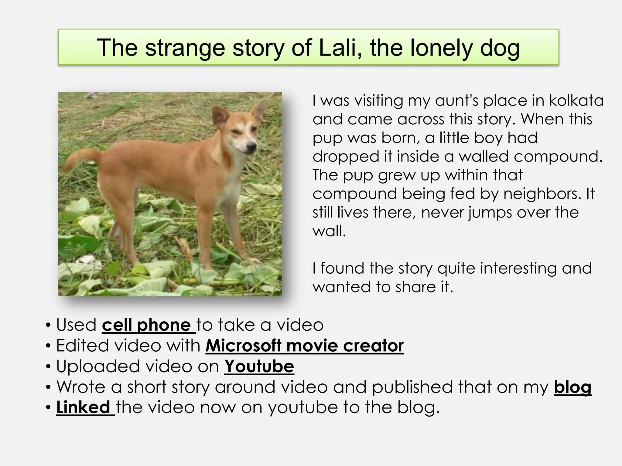  There is a ladder that is needed to be climbed to be able to get to that position from where an ordinary person can create and disseminate information. 