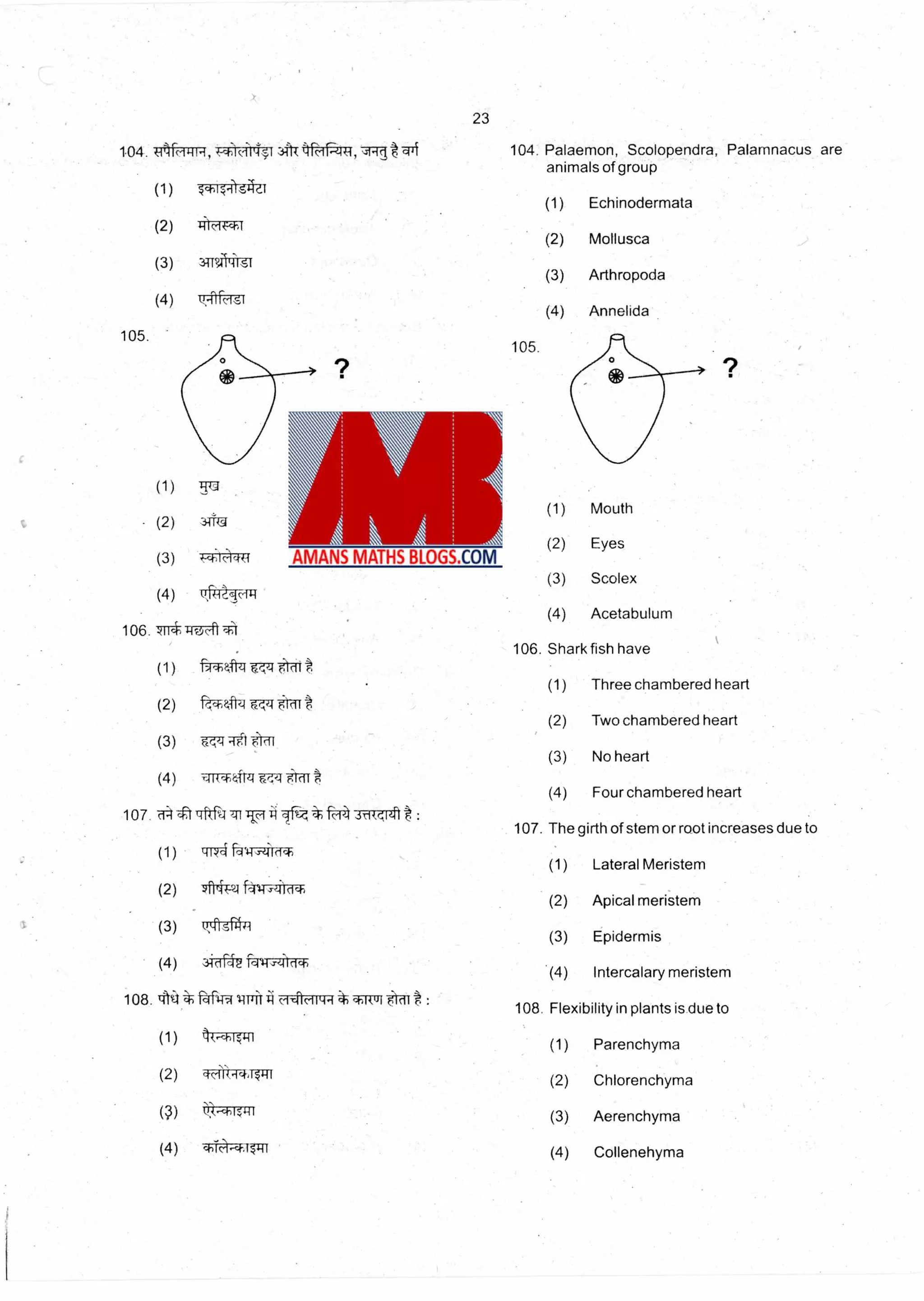 1.04.
23
104. Palaemon, Scolopendra, Palamnacus are
animals of group
(1) Echinodermata
(2) Mollusca
(3) Arthropoda
(4) Annelida
(1)
(2)
(3)
(4)
c1441-1, rictivYt flti f41riP44, ,friqt4r1
c;f11.R.-1
441d4-4-J
3iTgINT1
i&-ilki,sr
105.
105.
(1) -513
(2) 7.3.tf-43
(1) Mouth
(2) Eyes
(3) 4.-chIc.)40
(3) Scolex
(4) Tr,ftTriTi
(4) Acetabulum
106. 7TT*TITTA
(1)
106. Shark fish have
i*11-1174 5 if
(1) Three chambered heart
(2) P',1-0-Z4 t
(2) Two chambered heart
(3) .1c11r.,9-141
(3) No heart
(4) ,3111,i)4t4
(4) Four chambered heart
1079-447"P47.474111"--1.11fw, 3rItql :
(1) 11-R4
(2) *i-Pa f-434741-d-
(3)
(4) fqw-zitffT
107. The girth of stem or root increases due to
(1) Lateral Meristem
(2) Apical meristem
(3) Epidermis
(4) Intercalary meristem
108. 'tit
(1)
(2)
(,3)
(4)
108. Flexibility in plants is due to
(1) Parenchyma
(2) Chlorenchyma
(3) Aerenchyma
(4) Collenehyma
f i1 1 %wit *to' ter :
lk-chl,i4I
ctc'W•14,144f
chltl-cf-J4-11
 