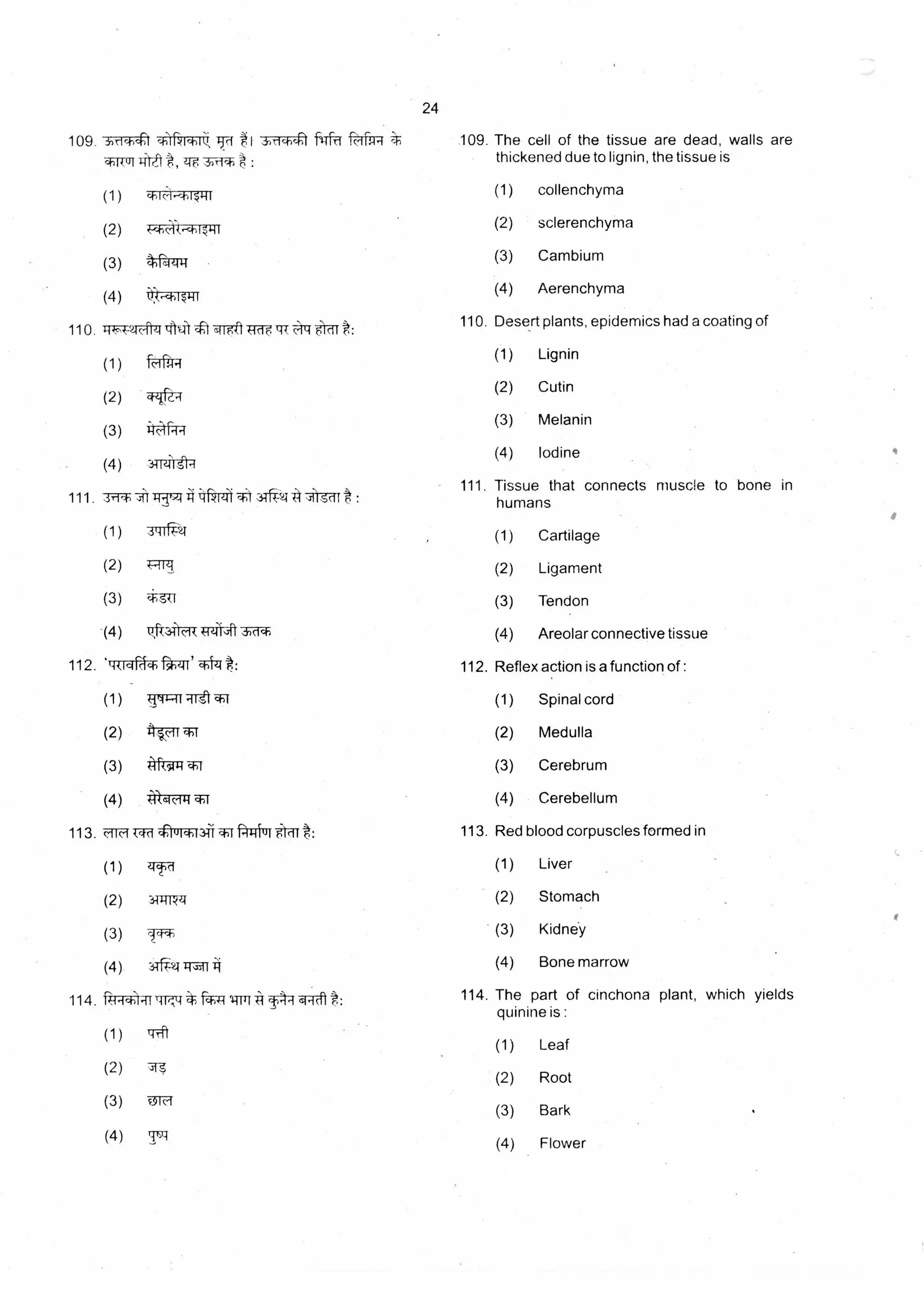 24
109. The cell of the tissue are dead, walls are
thickened due to lignin, the tissue is
109. 3.)ricti ch) *. I .3)71*Q 51 r(
*14(4 , Tf-e :
(1) (1) collenchymacHc-1-1114-11
(2) (2) sclerenchyma..'-4-mq-c4-)1'41-lr
(3) tftzlIT
(3) Cambium
(4)
(4) Aerenchyma
110. -IT- 247-tzitW
110. Desert plants, epidemics had a coating of
1qr-gft c:TLE
(1)
(1) Lignin
cr :-1-
(2) 4zft-4
(2) Cutin
(3) I:Of-44
(3) Melanin
(4)
(4) Iodine
.3114)8 •-f
111. Tissue that connects muscle to bone in
Cartilage
Ligament
Tendon
Areolar connective tissue
111. 3r11,*9-9
(1)
(2)
(3)
(4)
zf iaFTW13-14.144 cIT* : humans
(1)
(2)
(3)
(4)
3'4112,1
T;Trzt,
cbsti
7,1(34 .3,(14)
112. Reflex action is a function of :
(1) Spinal cord
.14kicir44)112.
(1)
fTzit'
(2) 11-01-7 (2) Medulla
(3) 4fTT4 -wr (3) Cerebrum
(4) '41-4-(71-Wr (4) Cerebellum
113. Red blood corpuscles formed in'111MA113. OM krld Wur i id r
(1 ) Tf-fd (1)(1) Liver
(2) 34111.4 (2) Stomach
(3) Kidney
(3)
(4) 7645:41:M1 Ti (4) Bone marrow
114. The part of cinchona plant, which yields
quinine is:
(1) Leaf
(2) Root
(3) Bark
(4) Flower
 