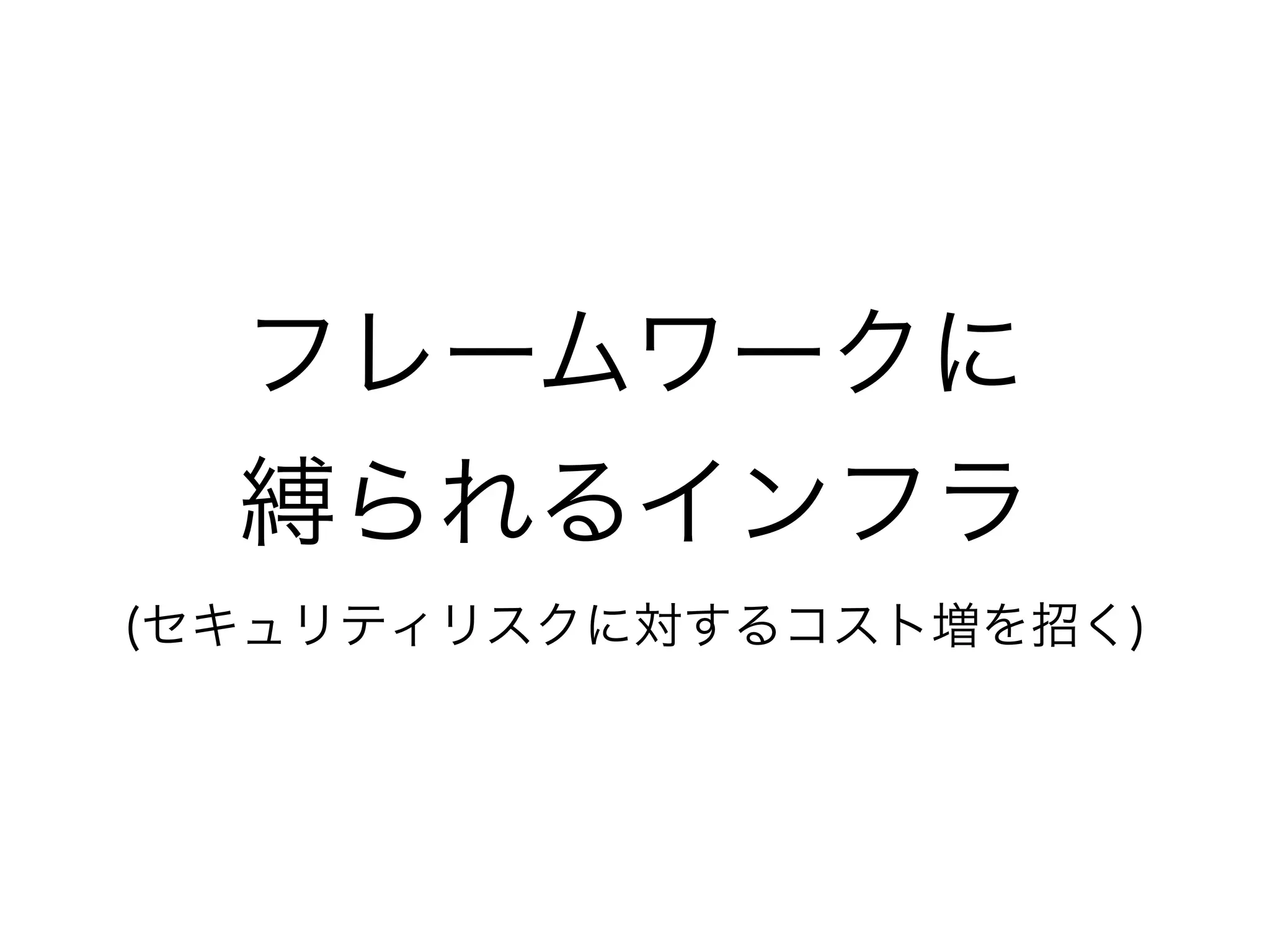 フレームワークに
縛られるインフラ
(セキュリティリスクに対するコスト増を招く)
 
