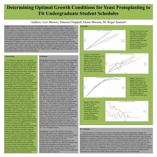 Determining Optimal Growth Conditions for Yeast Protoplasting to
Fit Undergraduate Student Schedules
Authors: Levi Brewer, Vanessa Chappell, Diana Mirceta, Dr. Roger Sauterer
Abstract: This study investigates yeast growth under different culture conditions to find optimal growth at an
OD600 of 0.5-0.7 within a 14-24 hour timeframe, suitable for undergraduate student schedules. Finding optimal
growth conditions is essential for the next step of the study, which will generate yeast protoplasts (cell wall-free
cells) using the enzyme mixture Lyticase. Generation of yeast protoplasts is essential for cell organelle fractionation,
specifically for the mitochondria and nuclei to determine potential histone- mitochondrial binding interactions that
may be involved in programmed cell death in these organisms. Yeast cultures were grown in 2-liter flasks with 1-liter
culture medium under different conditions, including varying initial inoculation mass, culture media, and flask type,
while keeping temperature and rotation rate constant. Overall, the initial inoculation mass of 0.01g of yeast, a
temperature of 25 degrees C, and a rotation rate of 100 rpm were optimal for growth. The initial inoculation mass
was especially critical to prevent over-growth of yeast cultures. Optimal culture media was either 100% “rich” media
or a 75%/25% “rich” to “poor” media ratio. Culturing in baffled vs. standard Erlenmeyer flasks showed no clear
effect on growth. Preliminary yeast protoplasting experiments indicated that culture OD600 must be less than 0.7 for
successful breakdown of the cell wall and that yeast from cultures with an OD600 higher than 0.7 are highly resistant
to the Lyticase enzyme mixture used for protoplasting.
I. Introduction
Saccharomyces cerevisiae, more commonly
known as yeast are eukaryotic microorganisms that
belong to the kingdom fungi. The fungal kingdom
has showed significant evolutionary changes over
the course of millions of years that has made them
distinct from their metazoan relatives, plants and
animals. Although yeast fall in their own kingdom,
many biological processes have remained
conserved between them and other eukaryotes.
Programmed cell death is a process in eukaryotes
that has conserved features and plays important
roles in embryonic development, organismal
maintenance, and elimination of cells with damaged
or irreparable DNA. The evolution of this process is
not completely understood among metazoans.
Although the details and mechanisms of the process
differ, it has been found that molecules involved in
apoptotic processes of animal cells have been
broadly conserved among the three eukaryotic
kingdoms. Previous studies have indicated that
histones released into the cytosol of animal and
plant cells bind to mitochondria and induce
cytochrome C release, which has been correlated
with cell death processes. The overall goal of this
project is to determine if histones released from
damaged nuclear DNA bind to yeast mitochondria
and induce cytochrome C release, as they do in
mammalian cells and angiosperm plants. Histone-
mitochondrial interactions of yeast cells will help
determine whether or not this is a conserved
mechanism among all eukaryotic kingdoms. The
first step in determining the histone-mitochondrial
relationship in yeast cells is finding optimal growth
conditions of yeast at an OD600 of 0.5-0.7 within a
14-24 hour timeframe suitable for student
schedules, indicating log phase growth of a healthy
culture that is suitable for protoplast generation.
Yeast cell walls must be removed for organelle
isolation, a process known as cell protoplasting.
Yeast protoplasts will be obtained through the use
of Lyticase, an enzyme mixture that will digest the
cell wall. Generation of protoplasts is required for
organelle fractionation, which will be critical for
the next step of the research. Upon obtaining
successful yeast protoplasts, future experiments
will work to isolate yeast mitochondria, purify
yeast histones, and test mitochondria for histone
binding and determine if cytochrome C is released.
We tested culture conditions and media mixtures to
optimize growth in the required time frame.
II. Methods
Saccharomyces cerevisiae: Fleischmann’s yeast was bought
at a retail store. All cultures were grown by incubating yeast
pellets in 1 L of culture media in a 2 L flask on a rotary
shaker at room temperature and 100 rpm. Three variations of
growth conditions were used to obtain the desired OD600:
initial inoculation mass, media composition, and baffled
versus un-baffled flasks. Two different types of media were
prepared. Rich media was made with 1% Bacto-Peptone, 2%
glucose, 3 mM potassium phosphate monobasic, 137 mM
sodium chloride, and 10 mM sodium phosphate dibasic and
autoclaved at 120 degrees Celsius for twenty minutes on the
liquid cycle. Poor media was prepared the same, except
glucose was at 1% and 312 mM ammonium nitrate took the
place of Bacto-Peptone as a nitrogen source. After
autoclaving at 120 degrees Celsius on the liquid cycle, 1%
100X mineral stock (3 mM calcium chloride, 4 mM ferrous
sulfate, 163 mM magnesium sulfate, 30 mM manganese
sulfate, and 2-3 drops concentrated sulfuric acid to prevent
precipitation) was added to all culture media. To determine
the effect initial inoculation mass had on yeast cultures, 1
liter cultures of rich media were inoculated with 0.01, 0.02,
0.05, 0.07, and 0.14 grams of Fleischmann’s yeast (see
Figure 1). To determine the effect media composition had on
yeast growth, 1 liter cultures of rich and poor media were
made, as well as 1 liter mixtures of 75% rich/25% poor, 50%
rich/50% poor, and 25% rich/75% poor were prepared (see
Figure 2). 0.01 grams of yeast were used to initially
inoculate the culture media. To determine the effect that the
type of flask had on growth, some cultures were grown with
baffled flasks while others were grown in normal flasks (see
Figure 3). Absorbance of the yeast at 600 nm was recorded
periodically, and when the yeast measured a 0.5-0.8
absorbance reading on a spectrometer the cultures were
harvested by centrifugation at 4600 x g in a GSA rotor. The
resulting pellet was stored in an equal volume of Lyticase
buffer (2% Bacto-Peptone, 0.7 M sorbitol, 10 mM Tris-base,
pH 7.5) at -20 degrees Celsius.
Protoplasting: To remove the cell walls of the yeast,
harvested yeast pellets were washed and suspended in
Lyticase buffer before being incubated with Lyticase (Sigma-
Aldrich) on a rotary shaker at 150 rpm and 37 degrees
Celsius. Prior to Lyticase addition, 60 mM 2-
mercaptoethanol was added to the cell suspension. Two
Lyticase units were added for every OD unit calculated from
the dilution by diluting the cell suspension before
multiplying OD units/mL by the total volume in mL of the
suspension in the tube. Absorbance was monitored on a
spectrometer alongside a control with no Lyticase added, and
the data recorded (see Figure 4).
III. Results
Figure 1: Yeast growth based
on initial inoculation mass.
All cultures incubated at 25
degrees Celsius and 100
rpms. OD in log-phase
growth should be less than
0.8 in 12-16 hours.
Inoculated with 0.01-0.02 g
allowed optimal growth in
desired time frame.
Figure 2: Yeast growth in
varying media composition. All
cultures were grown at 25
degrees Celsius and 100 rpm
with initial 0.01 g inoculation.
100% poor, 75% poor, and
50% poor media went out of
log-phase growth at low OD600.
Best culturing obtained with
75% rich and 100% rich media.
Figure 3: Yeast grown in
standard Erlenmeyer or
baffled culture flasks in 3
separate experiments. All
cultures used 0.01 g starting
inoculation mass and were
grown at 25 degrees Celsius
and 100 rpm. Data shows no
clear differentiation in
growth between flask types.
Figure 4: Effect of OD600
of culture at time of
harvest on yeast
protoplasting. Succesful
protoplasting should
reduce OD600 to 20% of
control. Yeast cultures
with initial OD600
exceeding 0.9 failed to
protoplast completely.
IV. Conclusion
In this experiment we attempted to grow yeast in time frames suitable for undergraduate schedules. We
performed growth curves on yeast using variations in culture media, initial inoculation mass and flask type. For all
experiments we kept incubation temperature and rotation rate constant. Poor media showed little signs of growth
regardless of variations in conditions and therefore is not suitable for growing large quantities of yeast. We saw no
significant or consistent differences when comparisons were made regarding yeast grown in baffled versus un-
baffled flasks. When cultures were grown with initial inoculation mass above 0.0 15g-0.0 2g the yeast over grew.
Preliminary trials of yeast protoplasting indicate yeast grown to OD600 beyond 0.7 proved to be impossible to
protoplast using the Lyticase enzyme mix. Overall, the initial inoculation mass of 0.01g of yeast grown in standard
conditions at a rotation rate of 100 RPM using rich media or a 75/25 Rich/Poor mixture were optimal for growth to
OD of 0.5 to 0.7 and eventual protoplasting. Investigation is still being done on variations in rotation rate and
temperature to accelerate yeast growth without causing complications with yeast protoplasting.
 