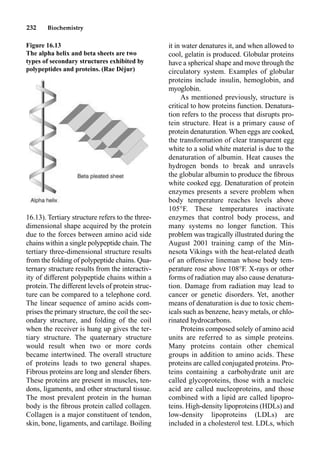 232 Biochemistry
16.13). Tertiary structure refers to the three-
dimensional shape acquired by the protein
due to the forces between amino acid side
chains within a single polypeptide chain.The
tertiary three-dimensional structure results
from the folding of polypeptide chains. Qua-
ternary structure results from the interactiv-
ity of different polypeptide chains within a
protein. The different levels of protein struc-
ture can be compared to a telephone cord.
The linear sequence of amino acids com-
prises the primary structure, the coil the sec-
ondary structure, and folding of the coil
when the receiver is hung up gives the ter-
tiary structure. The quaternary structure
would result when two or more cords
became intertwined. The overall structure
of proteins leads to two general shapes.
Fibrous proteins are long and slender ﬁbers.
These proteins are present in muscles, ten-
dons, ligaments, and other structural tissue.
The most prevalent protein in the human
body is the ﬁbrous protein called collagen.
Collagen is a major constituent of tendon,
skin, bone, ligaments, and cartilage. Boiling
it in water denatures it, and when allowed to
cool, gelatin is produced. Globular proteins
have a spherical shape and move through the
circulatory system. Examples of globular
proteins include insulin, hemoglobin, and
myoglobin.
As mentioned previously, structure is
critical to how proteins function. Denatura-
tion refers to the process that disrupts pro-
tein structure. Heat is a primary cause of
protein denaturation. When eggs are cooked,
the transformation of clear transparent egg
white to a solid white material is due to the
denaturation of albumin. Heat causes the
hydrogen bonds to break and unravels
the globular albumin to produce the ﬁbrous
white cooked egg. Denaturation of protein
enzymes presents a severe problem when
body temperature reaches levels above
105°F. These temperatures inactivate
enzymes that control body process, and
many systems no longer function. This
problem was tragically illustrated during the
August 2001 training camp of the Min-
nesota Vikings with the heat-related death
of an offensive lineman whose body tem-
perature rose above 108°F. X-rays or other
forms of radiation may also cause denatura-
tion. Damage from radiation may lead to
cancer or genetic disorders. Yet, another
means of denaturation is due to toxic chem-
icals such as benzene, heavy metals, or chlo-
rinated hydrocarbons.
Proteins composed solely of amino acid
units are referred to as simple proteins.
Many proteins contain other chemical
groups in addition to amino acids. These
proteins are called conjugated proteins. Pro-
teins containing a carbohydrate unit are
called glycoproteins, those with a nucleic
acid are called nucleoproteins, and those
combined with a lipid are called lipopro-
teins. High-density lipoproteins (HDLs) and
low-density lipoproteins (LDLs) are
included in a cholesterol test. LDLs, which
Figure 16.13
The alpha helix and beta sheets are two
types of secondary structures exhibited by
polypeptides and proteins. (Rae Déjur)
 
