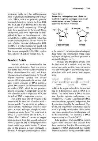Biochemistry 233
are mainly lipids, carry fats and large quan-
tities of cholesterol made in the liver to body
cells. HDLs, which are primarily protein,
transport cholesterol back to the liver. LDL
and HDL are often referred to as bad and
good cholesterol, respectively. Although
both these contribute to the overall blood
cholesterol, it is more important for indi-
viduals to focus on how cholesterol is dis-
tributed between HDL and LDL rather than
a total cholesterol level. For this reason, the
ratio of either the total cholesterol or LDL
to HDL is a better indicator of health risk
than the number indicating total cholesterol.
For men an acceptable LDL:HDL choles-
terol ratio is 4:5 and for women it is 3:5.
Nucleic Acids
Nucleic acids are biomolecules that
pass genetic information from one genera-
tion to the next. Nucleic acids contained in
DNA, deoxyribonucleic acid, and RNA,
ribonucleic acid, are responsible for how all
higher organism develop into unique
species. DNA is present in the nucleus of all
cells where segments of DNA comprise
genes. DNA carries the information needed
to produce RNA, which in turn produces
protein molecules. A simpliﬁed view of the
role of nucleic acids is to produce RNA, and
the role of RNA is to produce proteins.
Just as the basic unit of proteins is the
amino acid, the basic unit of nucleic acids is
the nucleotide. Nucleic acids are polymers
of nucleotides. Nucleotides consist of three
parts: a sugar, hydrogen phosphate, and a
nitrogen or amine base. The sugar unit in
DNA is 2-deoxyribose and in RNA it is
ribose. The “2-deoxy” means an oxygen
atom is absent from the second carbon of
ribose (Figure 16.14). Hydrogen phosphate
bonds to the sugar at the number 5 carbon,
and in the process a water molecule is
formed. A nitrogen-containing base bonds
at the number 1 carbon position also to pro-
duce water. The combination of the sugar,
hydrogen phosphate, and base produces a
nucleotide (Figure 16.15).
The sugar and phosphate groups form
the backbone of a nucleic acid, and the
amine bases exist as side chains. A nucleic
acid can be thought of as alternating sugar-
phosphate units with amine base projec-
tions:
In DNA the sugar molecule in the nucleo-
tide is 2-deoxyribose, and in RNA it is
ribose. The amine bases in DNA are ade-
nine, thymine, cytosine, and guanine, sym-
bolized byA, T, C, and G, respectively. RNA
contains adenine, cytosine, and guanine, but
thymine is replaced by the based uracil (Fig-
ure 16.16). The primary structure of nucleic
acids is given by the sequence of the amine
side chains starting from the phosphate end
of the nucleotide. For example, a DNA
sequence may be –T-A-A-G-C-T.
Like proteins, DNA and RNA exhibit
higher order structure that dictates how
these molecules function. Determining the
structure of DNA challenged the world’s
foremost scientists during the middle of the
Figure 16.14
Shows that 2-deoxyribose and ribose are
identical except for an oxygen atom absent
on the second carbon. Carbons are
numbered for future reference.
 