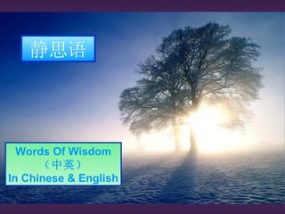 静思语 Words Of Wisdom （中英） In Chinese & English 