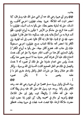 دكتور عبد الغفار سليمان البنداري