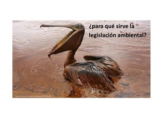¿para qué sirve la
legislación ambiental?

http://www.flickr.com/photos/todogaceta/7824654950/

 