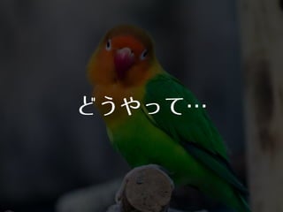 どうやって…⋯
 