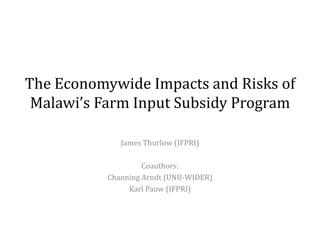 The Economywide Impacts and Risks of
Malawi’s Farm Input Subsidy Program
James Thurlow (IFPRI)
Coauthors:
Channing Arndt (UNU-WIDER)
Karl Pauw (IFPRI)
 