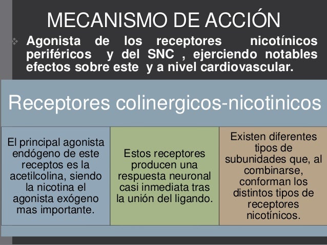 Quantos cigarros é necessário fumar para lançar