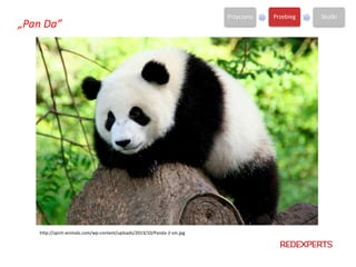 http://spirit-animals.com/wp-content/uploads/2013/10/Panda-2-sm.jpg
Przyczyny Przebieg Skutki
„Pan Da”
 