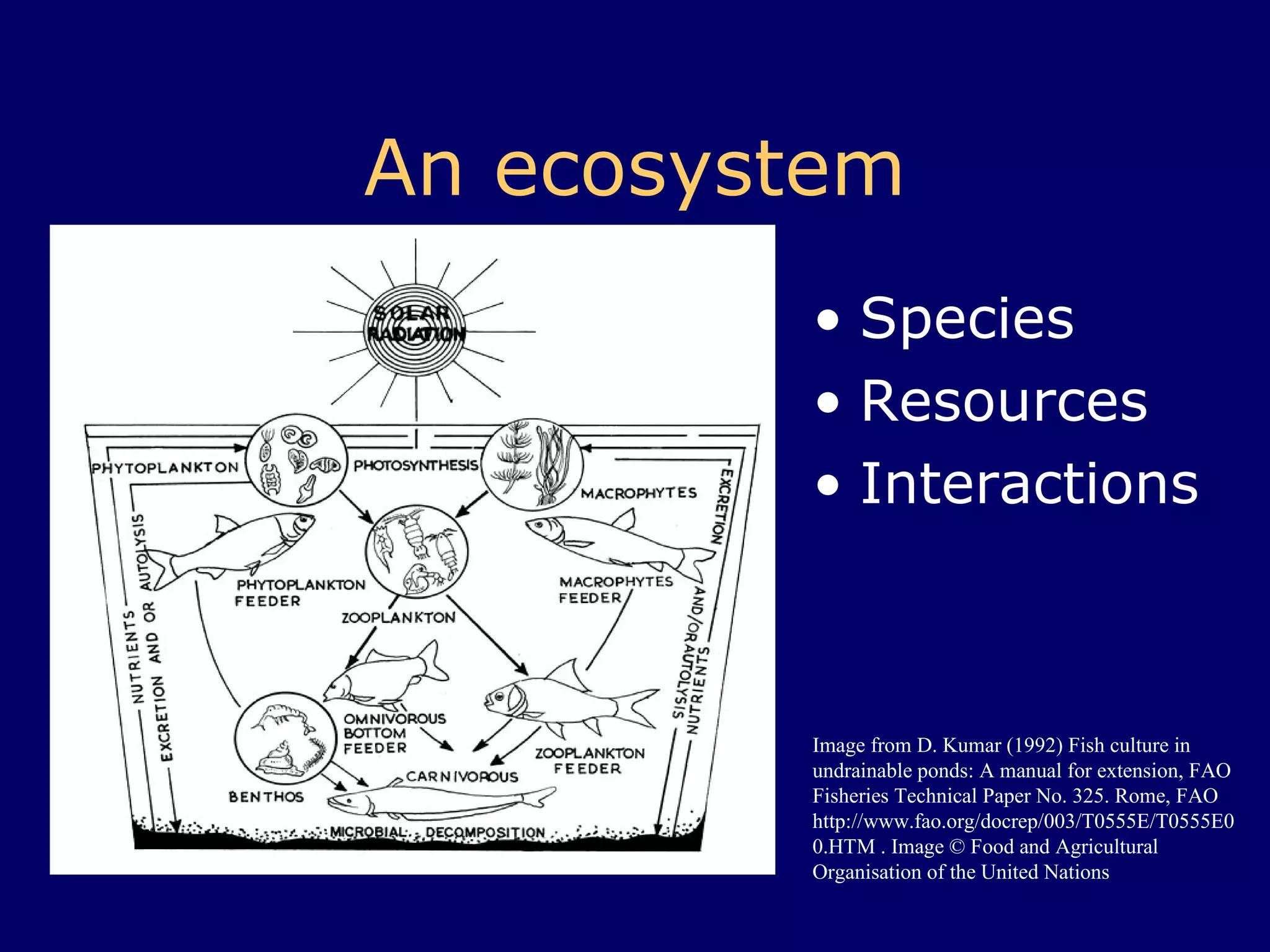 An ecosystem Species Resources Interactions Image from D. Kumar (1992) Fish culture in undrainable ponds: A manual for extension, FAO Fisheries Technical Paper No. 325. Rome, FAO http://www.fao.org/docrep/003/T0555E/T0555E00.HTM . Image © Food and Agricultural  Organisation of the United Nations 