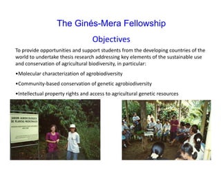 The Ginés‐Mera Fellowship Fund for Postgraduates Studies in Biodiversity