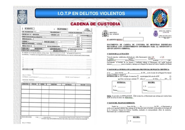 Delitos contra la Libertad e Indemnidadual. La Delitos contra la Libertad e Indemnidadual. La