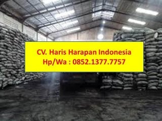 Call/Wa: 0852.1377.7757, Jual arang batok kelapa/sell coconut shell chorcoal.,