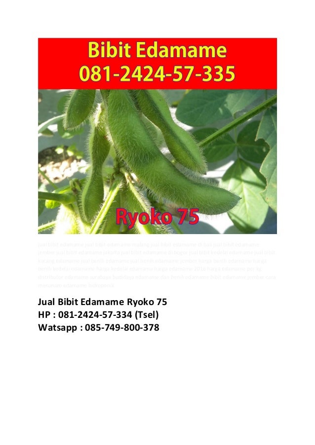 Jual Bibit iEdamamei 081242457334 Jual Bibit iEdamamei 081242457334