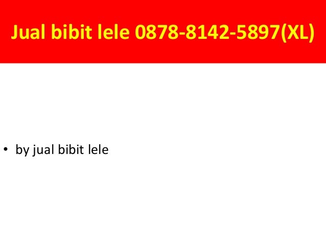 0878 8142 5897 xl jual bibit lele cikarang 0878 8142 5897 xl jual bibit lele cikarang