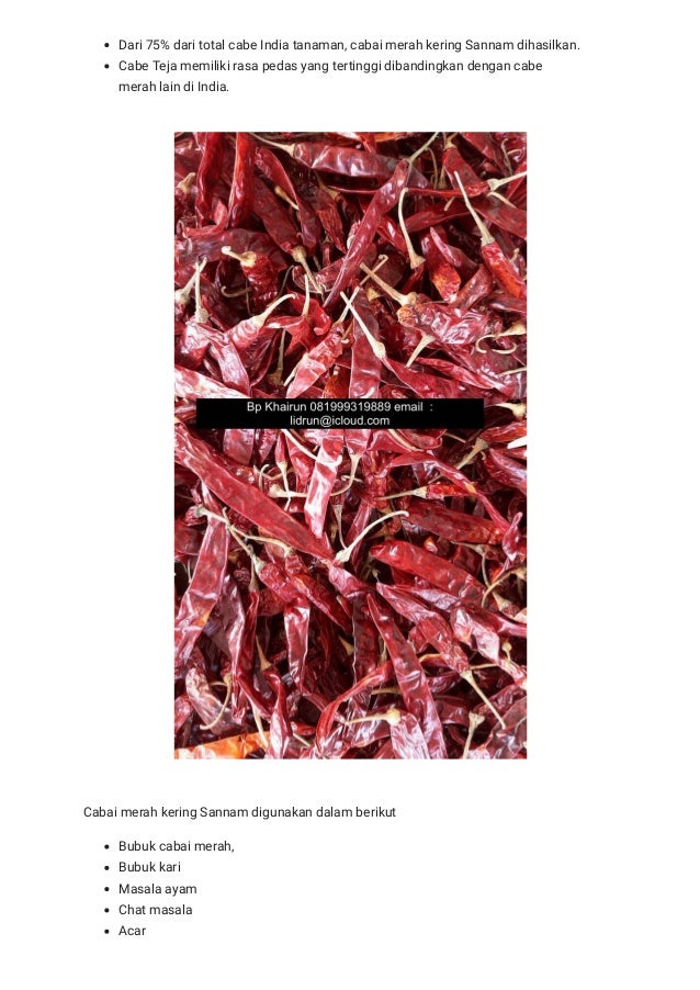 jual cabe kering dengan tangkai teja s4 kualitas a grade 08123836 jual cabe kering dengan tangkai teja s4 kualitas a grade 08123836